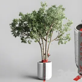 Indoor outdoor plant pot